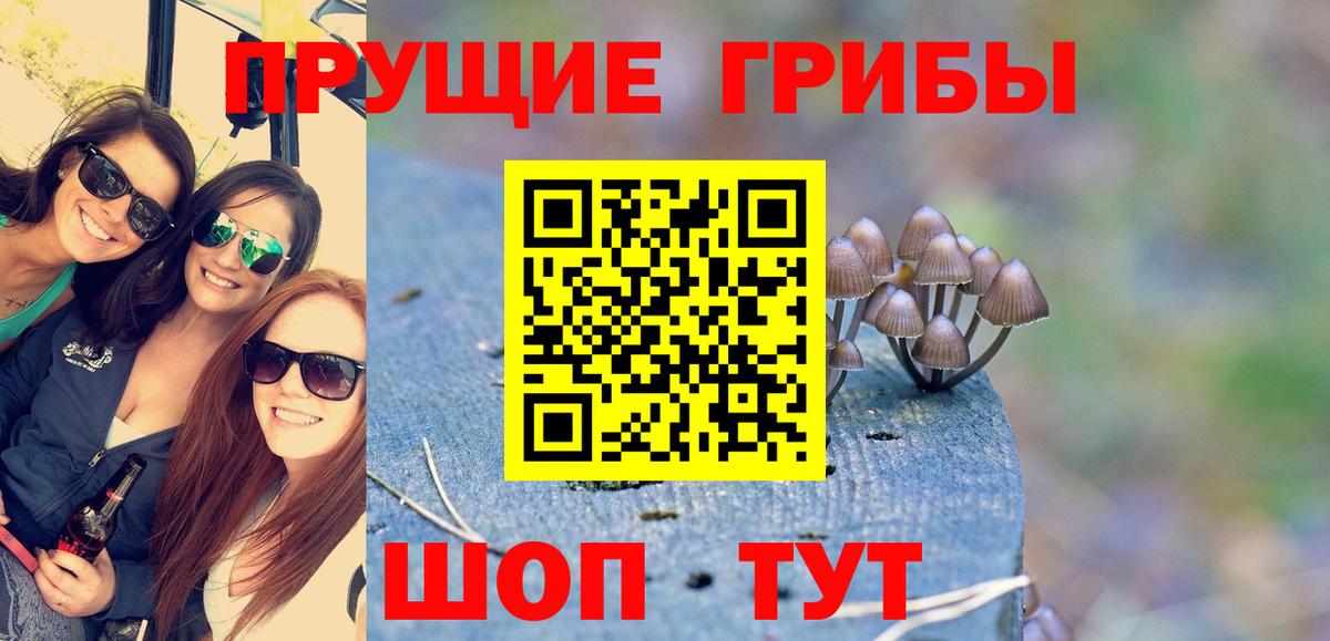 Кирово-Чепецк  Псилоцибиновые грибы мухоморы  Вход с VPN  Галлюциногенные грибы Magic Shrooms 