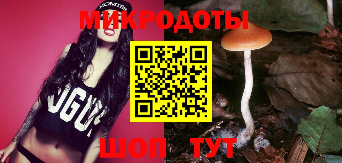 Псилоцибиновые грибы прущие грибы Кирово-Чепецк